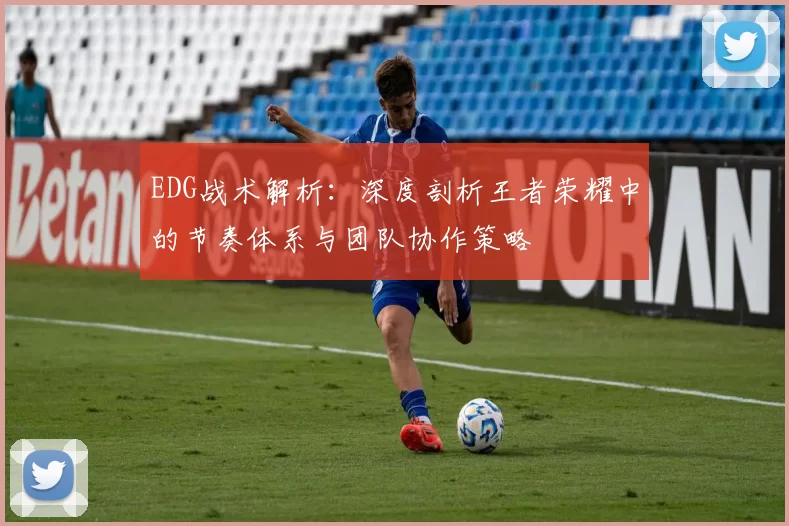 EDG战术解析：深度剖析王者荣耀中的节奏体系与团队协作策略