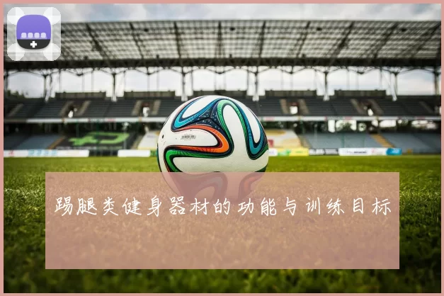 踢腿类健身器材的功能与训练目标