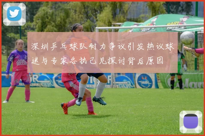 深圳乒乓球队耐力争议引发热议球迷与专家各执己见探讨背后原因