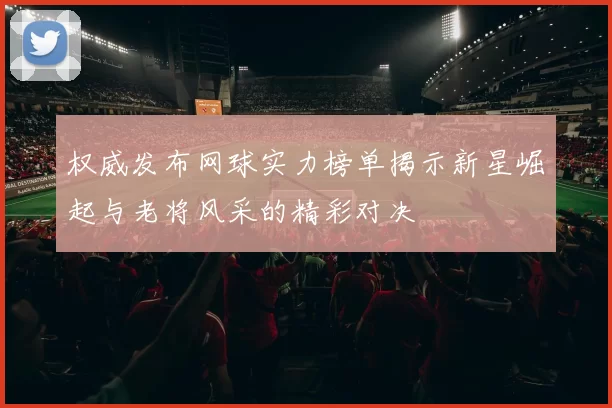 权威发布网球实力榜单揭示新星崛起与老将风采的精彩对决