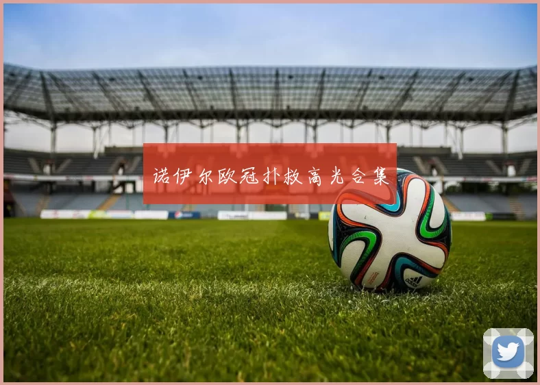 诺伊尔欧冠扑救高光合集