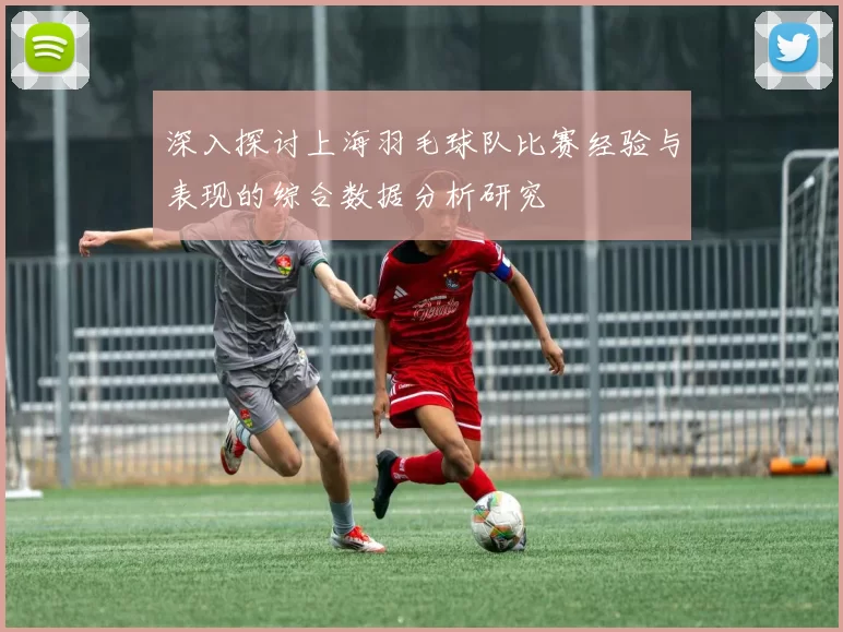 深入探讨上海羽毛球队比赛经验与表现的综合数据分析研究