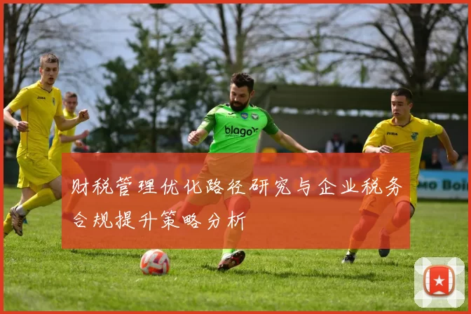 财税管理优化路径研究与企业税务合规提升策略分析
