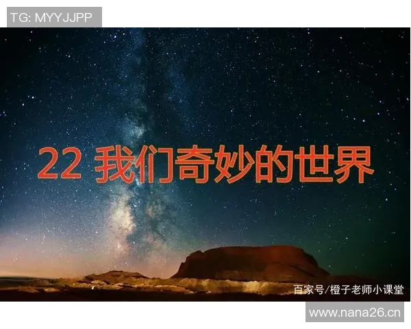 体育世界聚焦：探索全球运动盛事背后的故事与影响